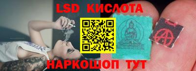 прущие грибы Заводоуковск