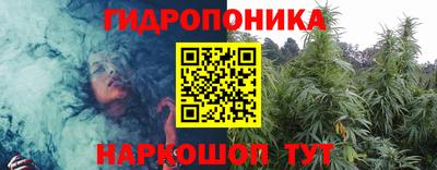 прущие грибы Заводоуковск
