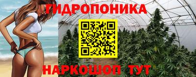 PSILOCYBIN Жуковский
