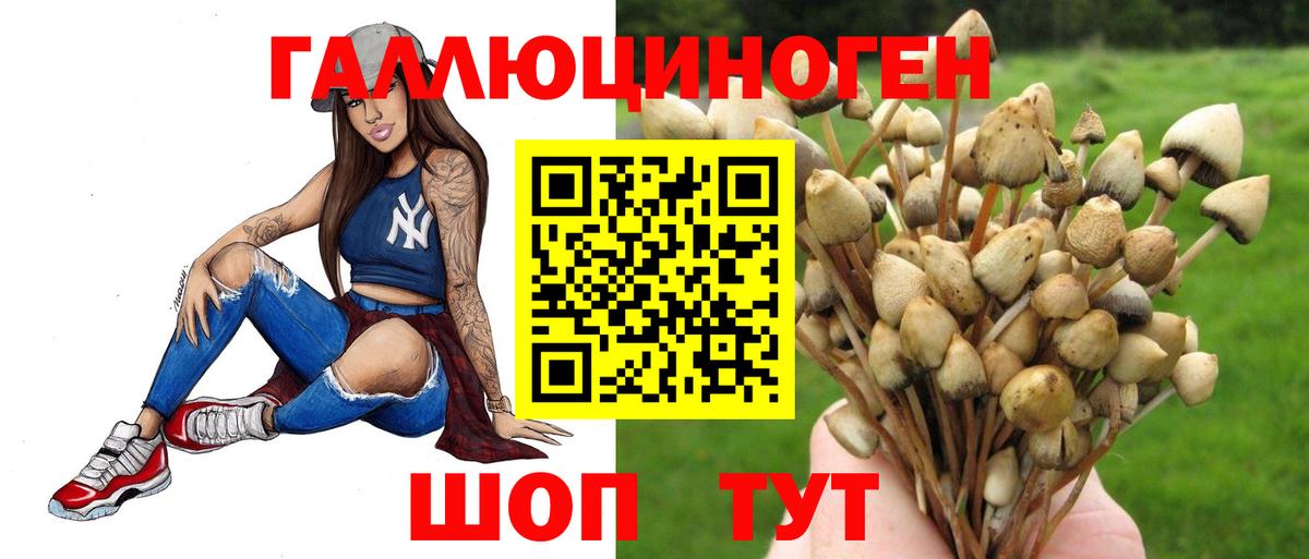 Галлюциногенные грибы Psilocybe  сколько стоит  Кунгур  Вход с VPN 